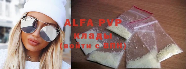 трава Белокуриха