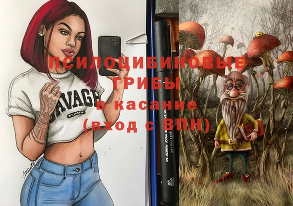 трава Белокуриха