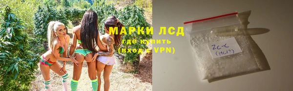 трава Белокуриха