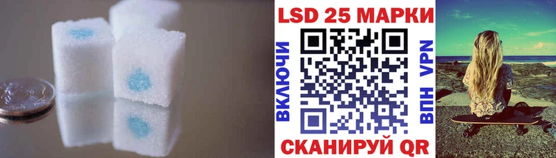 где найти наркотики  Мещовск  LSD-25 экстази ecstasy 