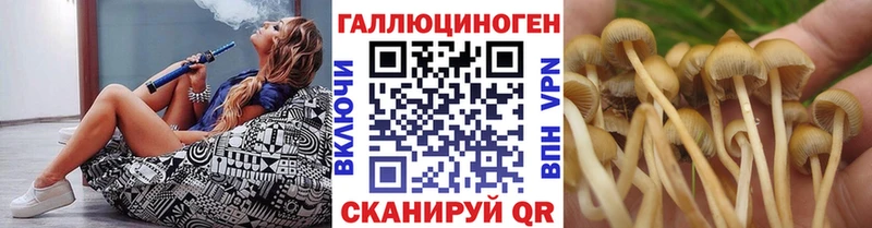 Галлюциногенные грибы ЛСД Мещовск
